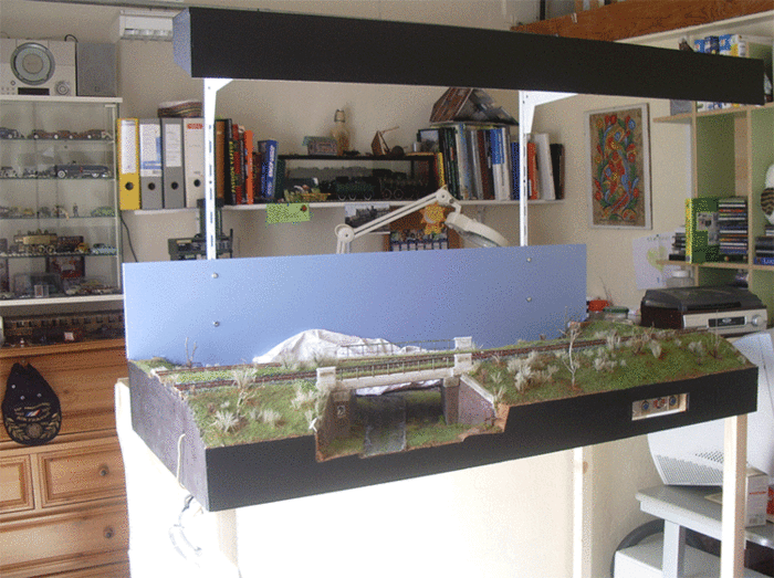 IMGP9863.gif