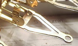 sauterelle_5.jpg