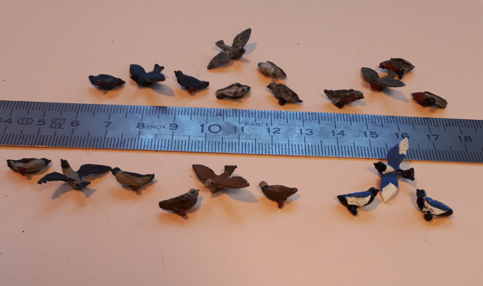 les "plus gros" OISEAUX