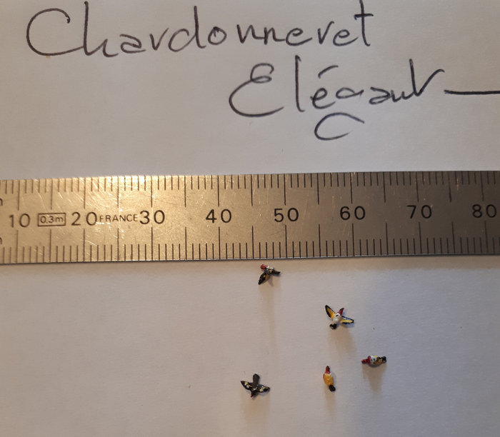 CHARDONNERETS