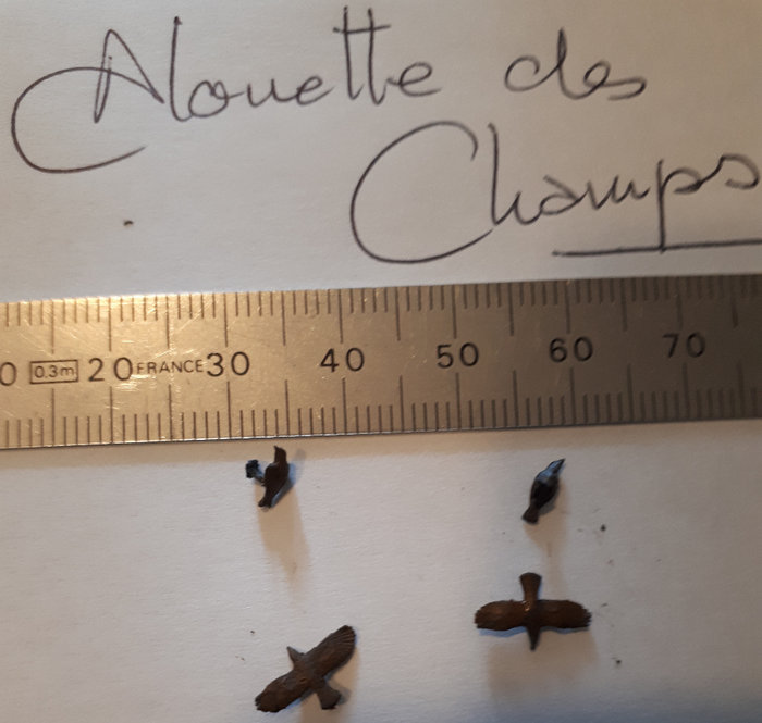 ALOUETTE