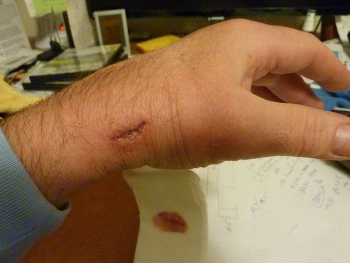P1130830 (800x600).jpg