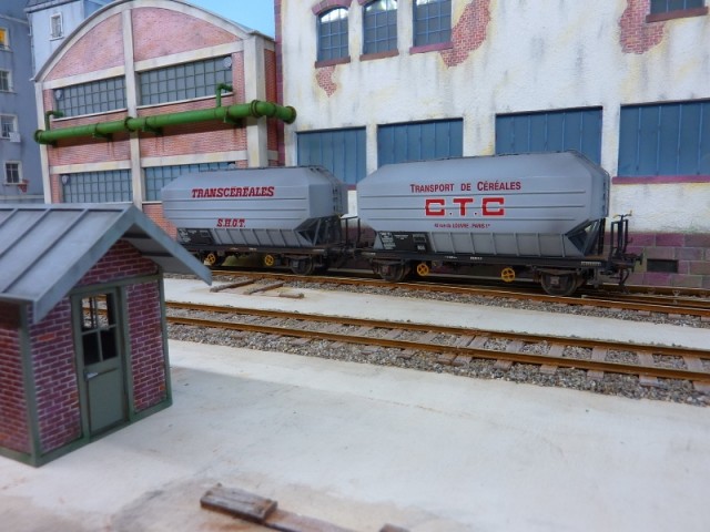 P1140344 (800x600).jpg