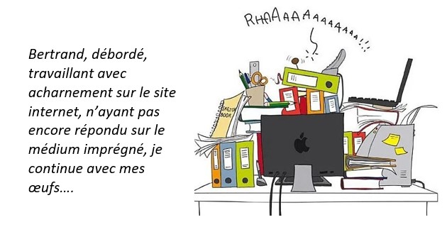 BR33 à l'oeuvre