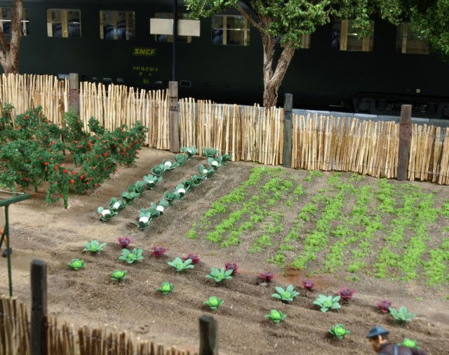 Potager du chef de gare.JPG