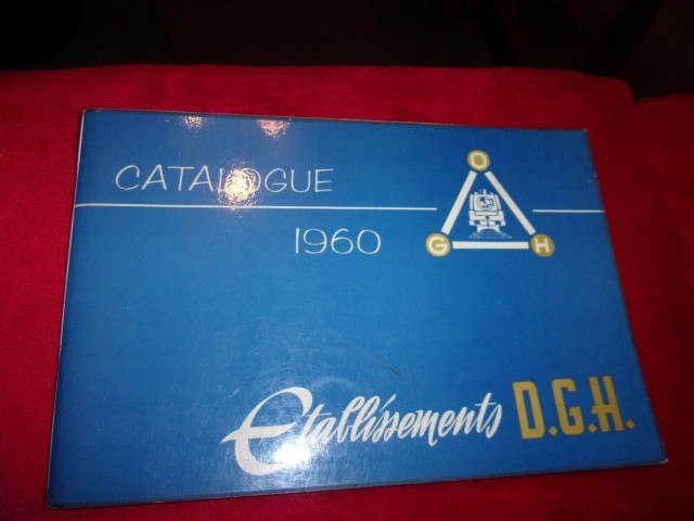 cat DGH 2.jpg
