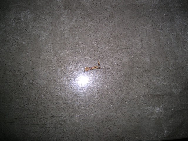 DSCN8740.JPG