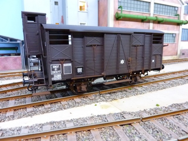 P1160649 (800x600).jpg