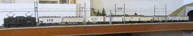STEF1.jpg