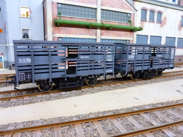P1180064 (800x600).jpg