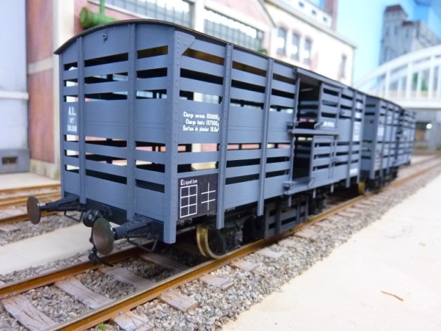 P1180065 (800x600).jpg