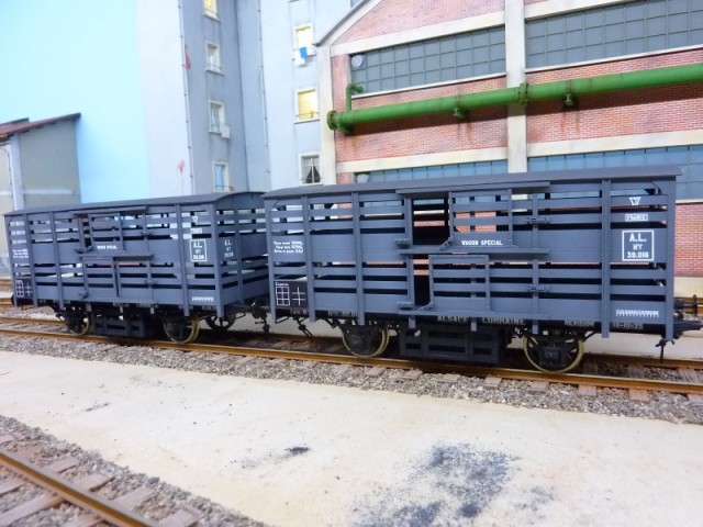P1180067 (800x600).jpg
