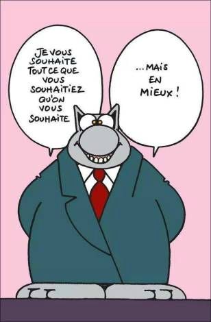 voeux chat 1.jpg