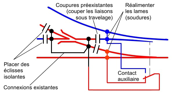 alim_coeur copie.jpg