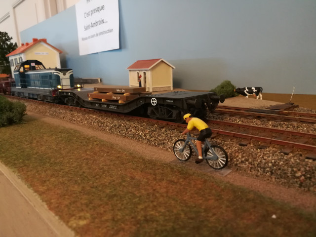 IMG_20230513_145449.jpg