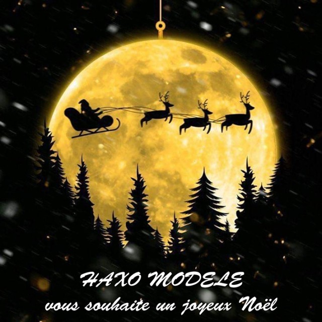 Joyeux Noël Haxo-1w.jpg