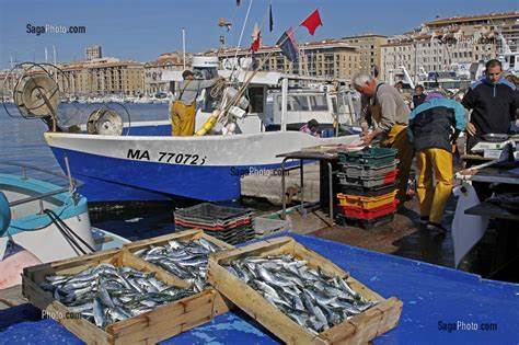 marchands de sardine.jpg