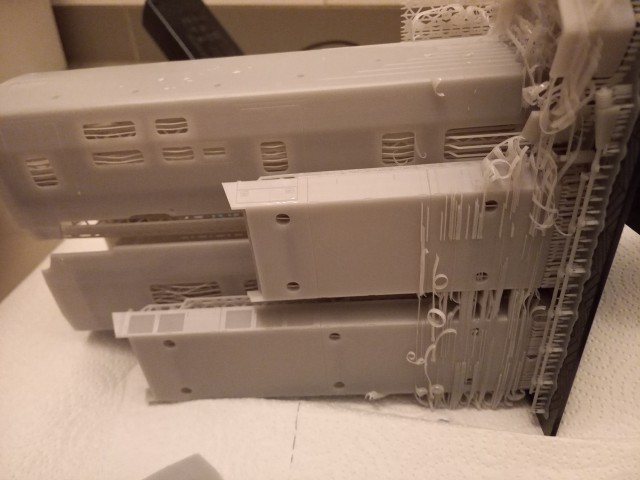 20250126_215209.jpg