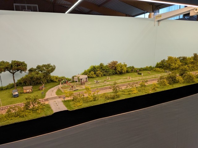 PXL_20251005_082737246.jpg