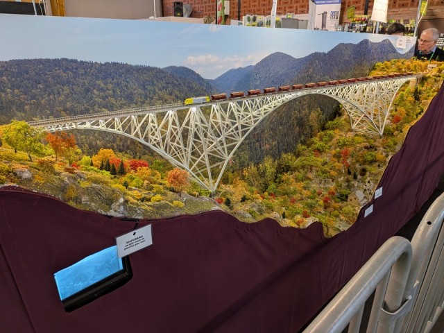 PXL_20251005_082934645.MP (1).jpg