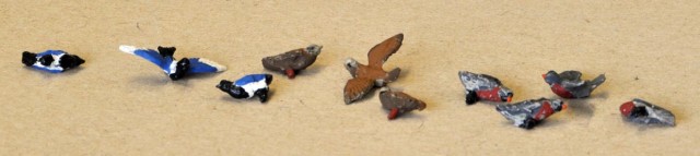 De gauche à droite : Pie Bavarde, Tourterelle des Bois, Pigeon Ramier.