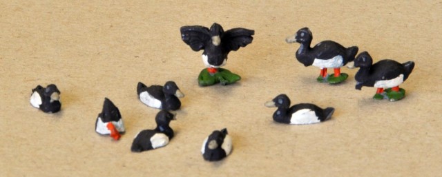 Canards fuligule morillon.<br />Pour peindre les canards (mais aussi les autres animaux), je me suis procuré une paire d’ouvrages servant à les identifier. C’est riche d’enseignement ! Et cela permet d’avoir les bonnes couleurs au bon endroit ! Surtout ce qui est caractéristique !<br />Lors de la Bourse de L’Tchiote Auto 80 fin septembre, une paire de visiteurs a correctement identifié les canards pendant que je les peignais ! Ce fut une belle récompense !