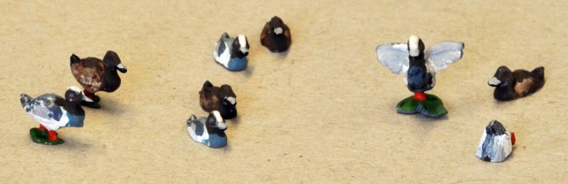 Canards siffleurs.
