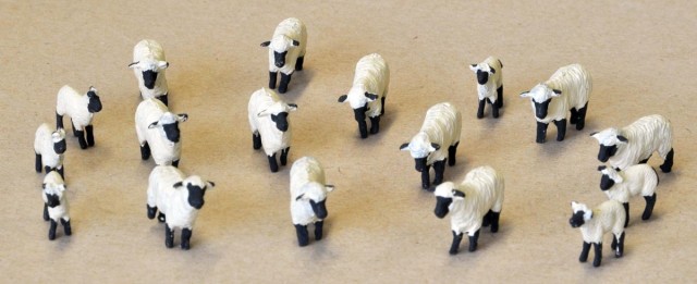 Moutons à tête noire de chez DUNCAN MODELS. En fait le noir est un anthracite de chez AK. Le noir « noir » est trop noir au final, aussi ai-je décidé de ne l’utiliser qu’exceptionnellement ! Les agneaux viennent de chez LYNX MODELS.<br />J’ai pris la résolution d’utiliser les moutons de chaque fabriquant dans une livrée différente pour garder une homogénéité de forme dans chaque troupeau. Et au final, cela ne rend pas mal du tout ! Il me reste les moutons PREISER à repeindre pour les rendre plus « crédibles » !