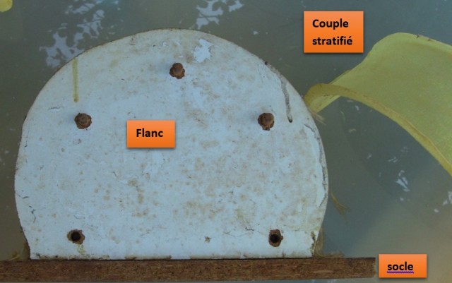 couple_flanc_socle.jpg