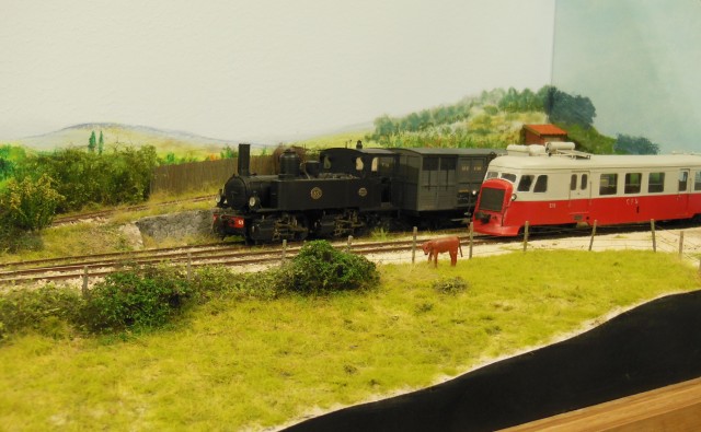 DSCN0223.JPG