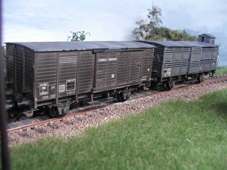 KIF_0109.JPG
