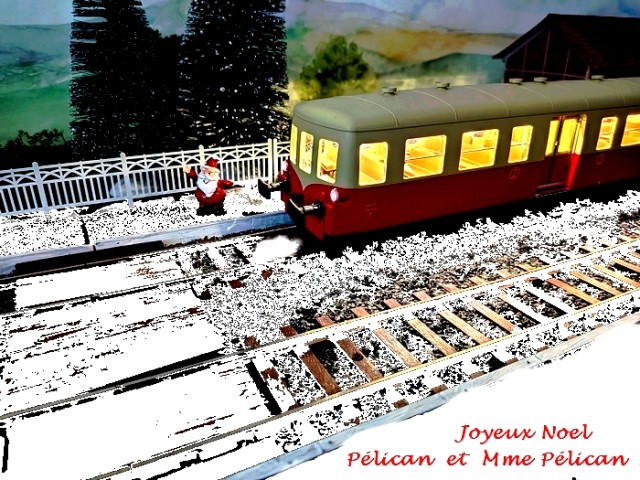 Joyeux Noel 2025  pelican .jpg