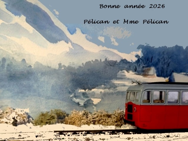 bonne année 2026 pelican.jpg