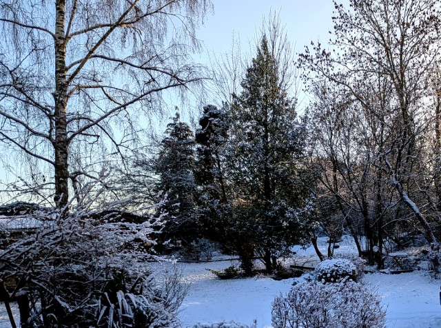 neige.jpg