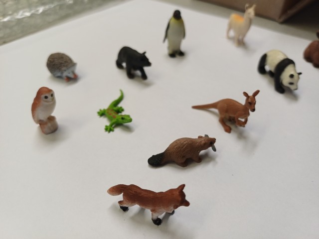 André  Animaux - 20260118_150438.jpg