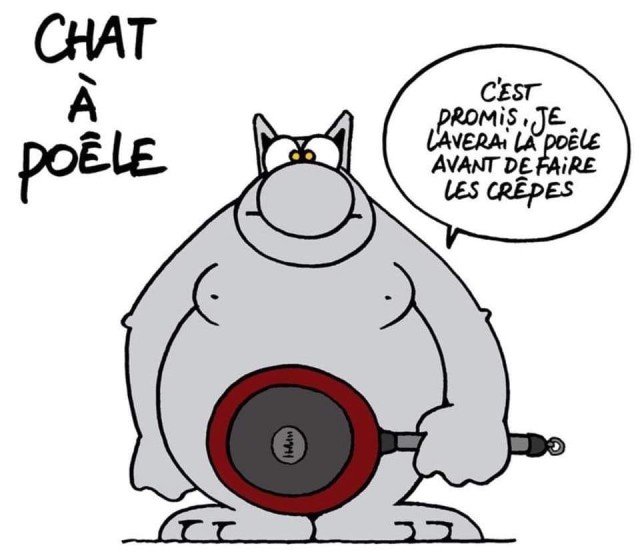 chat poele.jpg