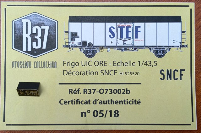 STEF UIC ORE 5.jpg