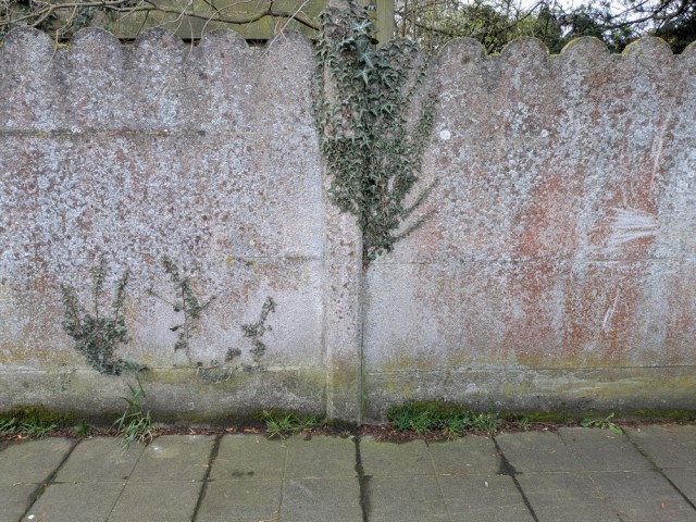 cloture beton 2.jpg