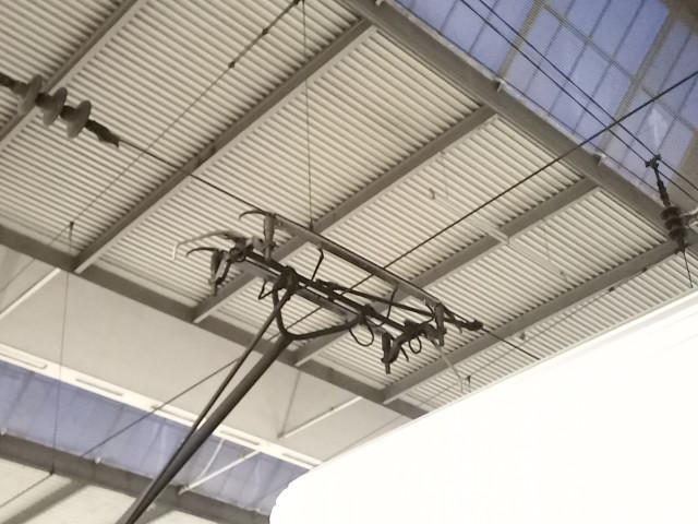 20260404_061700.jpg