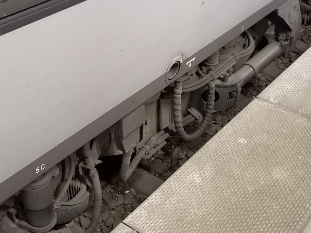 20260404_061632.jpg
