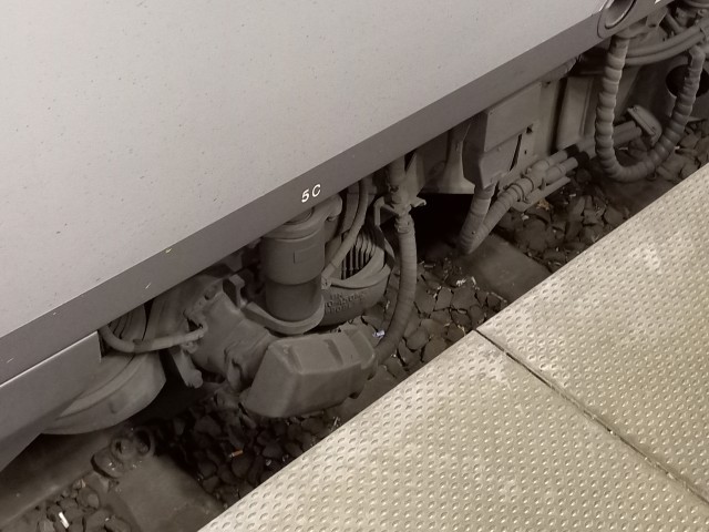 20260404_061629.jpg