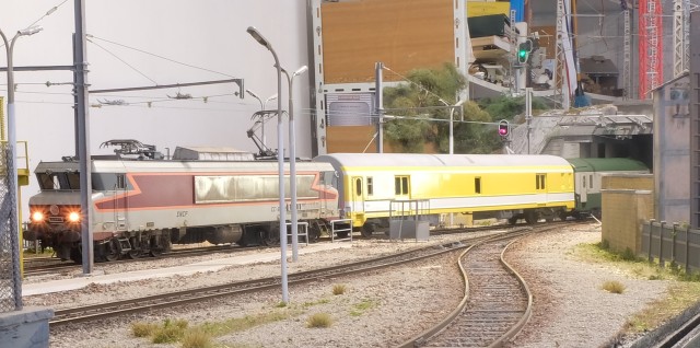 DSCF2501.JPG