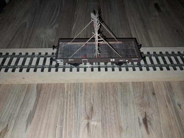 20260509_182123.jpg