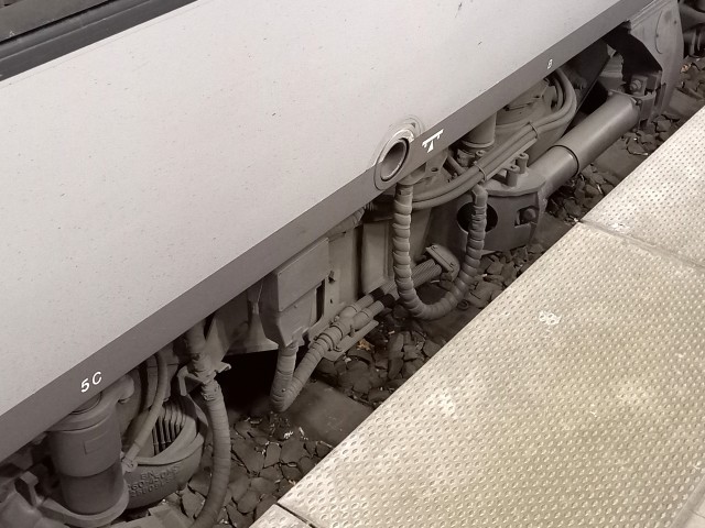 20260404_061632 2.jpg