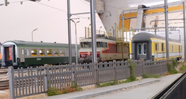 DSCF2516.jpg