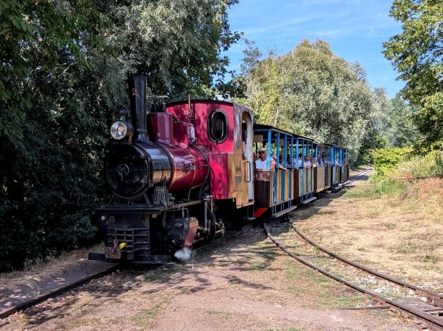 pistache train.jpg